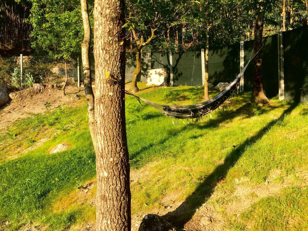 The Green Roof House Vieira do Minho Exterior photo